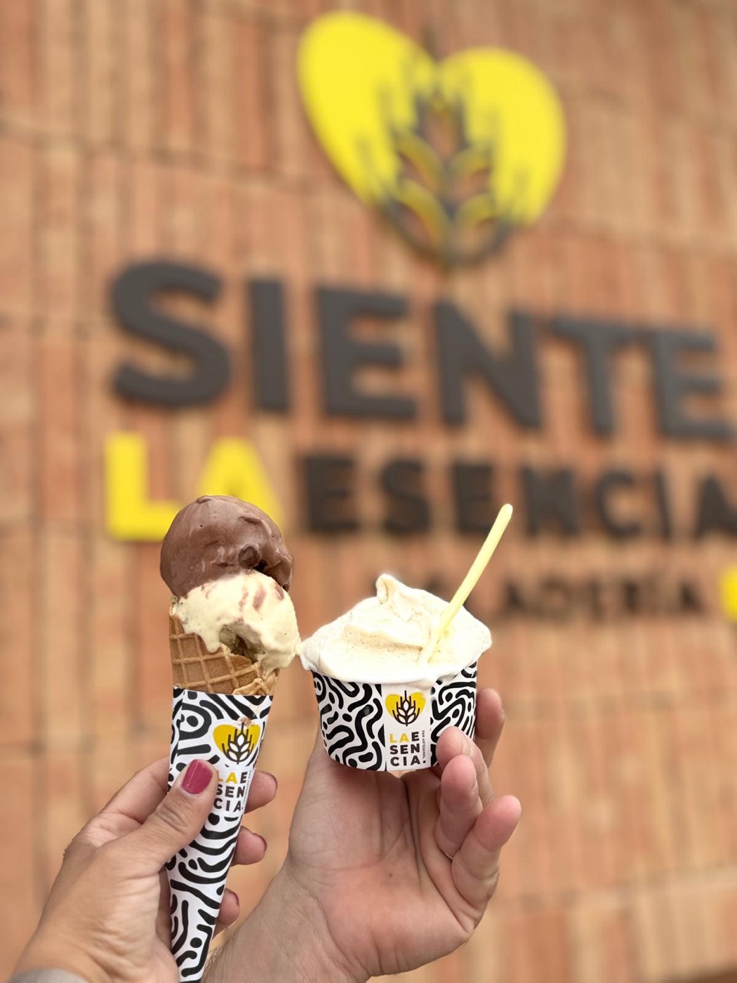 Cucurucho y tarrina de helado artesano de La Esencia delante del despacho de Mairena del Aljarafe